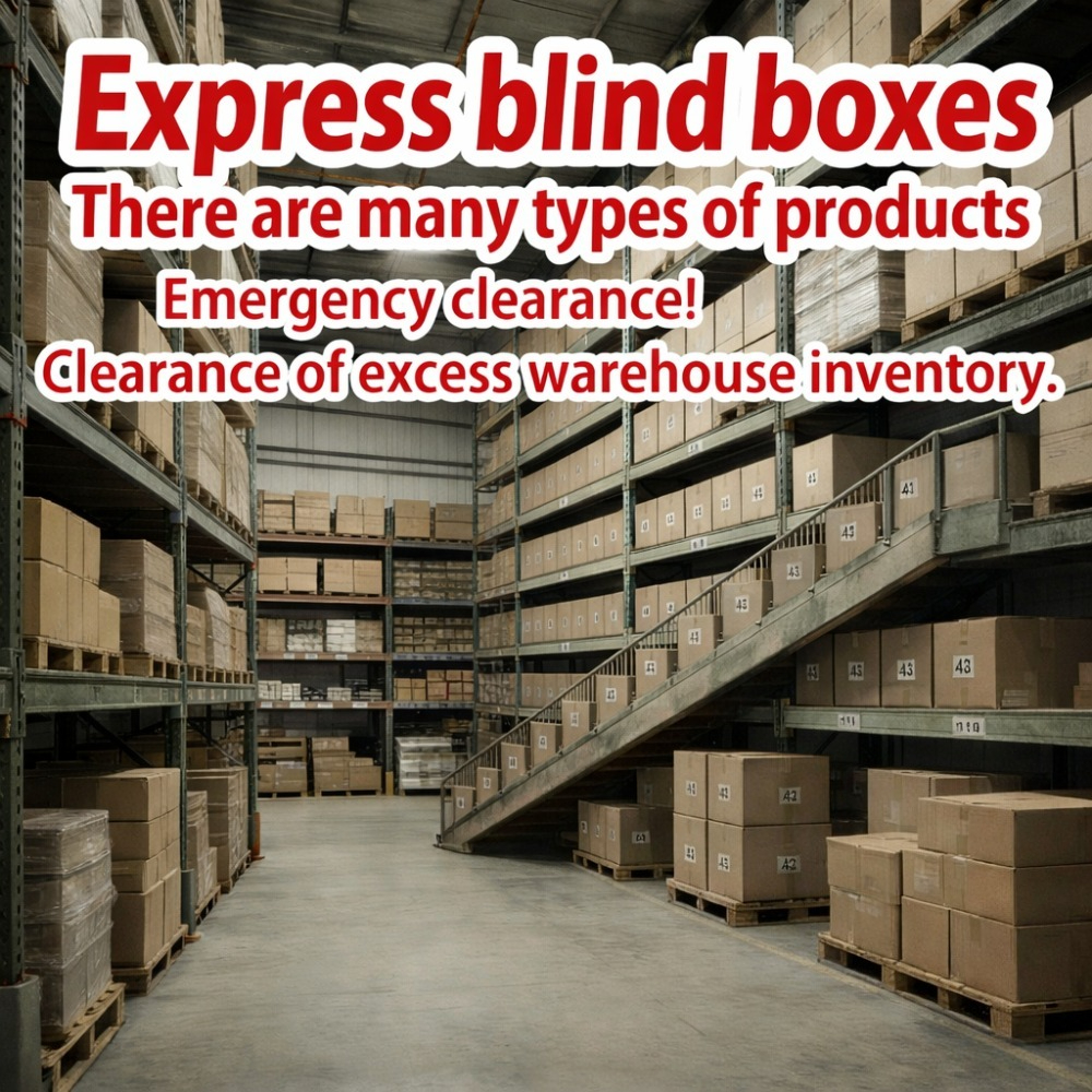 Mystery Box Blind Bag - 2pcs Limited Edition Blind Box –