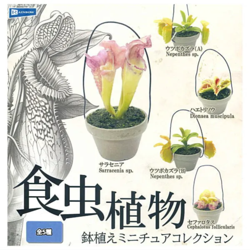 Capsule Toy Gashapon - Japan Rainbow Gashapon Capsule Toy Food