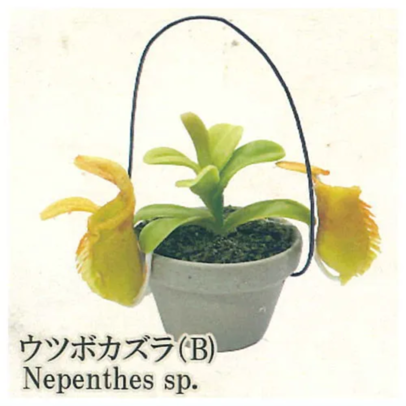 Japan Rainbow Gashapon Capsule - Capsule Toy Gashapon incelemesi ve fiyatı