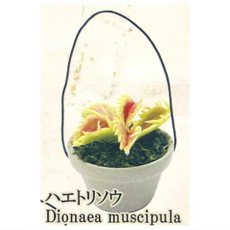 Japan Rainbow Gashapon Capsule - Capsule Toy Gashapon incelemesi ve fiyatı
