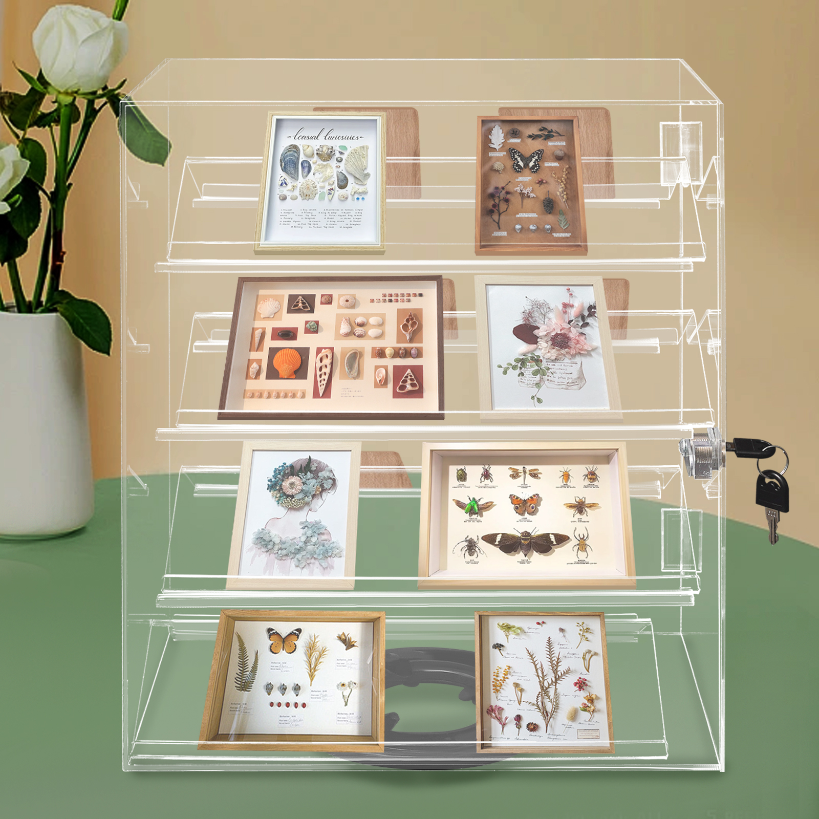 360° Rotating Clear Acrylic Di - Display Case Acrylic incelemesi ve fiyatı