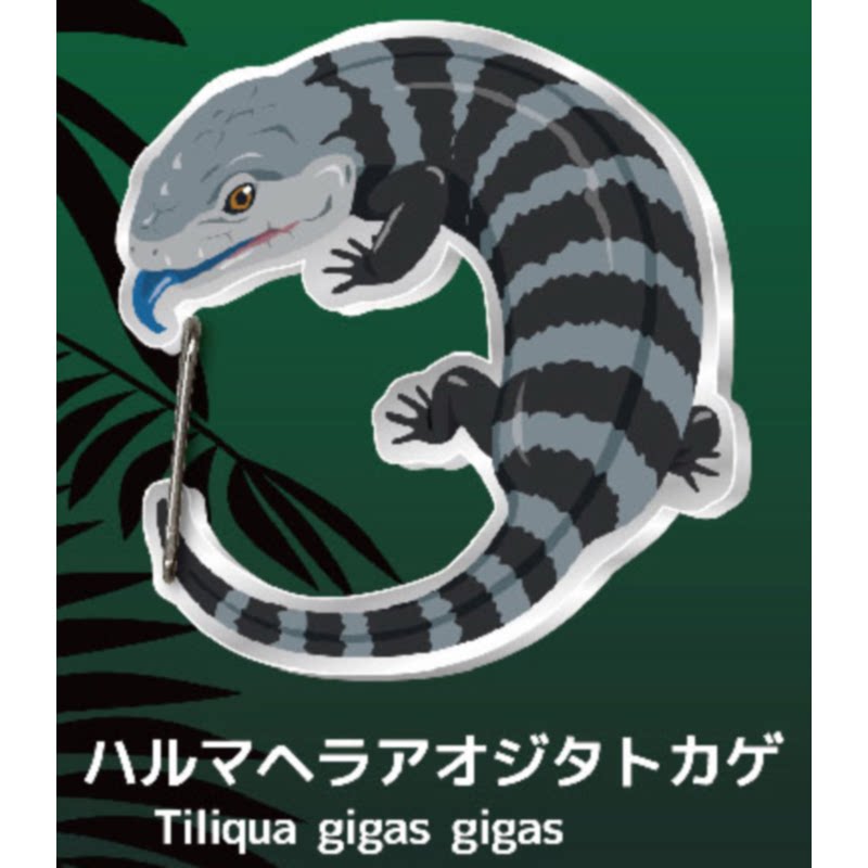 Gecko Lover Carabiner Gashapon - Capsule Toy Gashapon incelemesi ve fiyatı