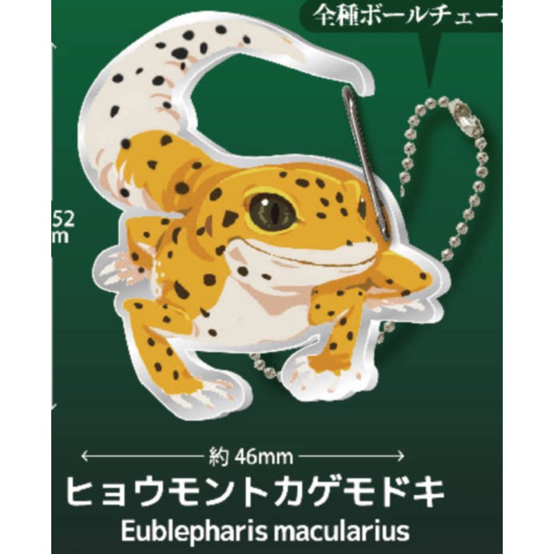 Gecko Lover Carabiner Gashapon - Capsule Toy Gashapon incelemesi ve fiyatı